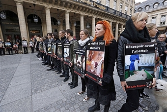 France Passes Bill Ordering Cameras in all Slaughterhouses