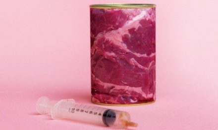 Make your own Meat at Home with Open Source Cells. It’s Happening.