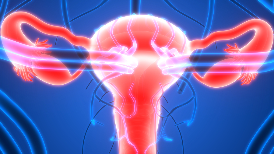 Fallopian Tubes May Have Big Role in Ovarian Cancer Fight