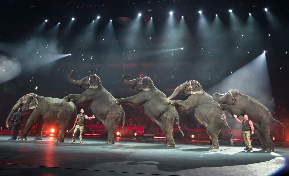 Breaking: Ringling Bros. Circus to Close after 146 Years