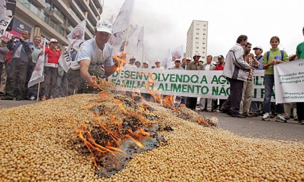 Brazil to Refuse ALL Imports of U.S.- Grown Genetically Modified Crops