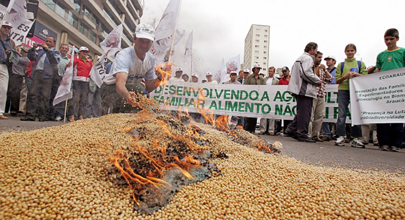 Brazil to Refuse ALL Imports of U.S.- Grown Genetically Modified Crops