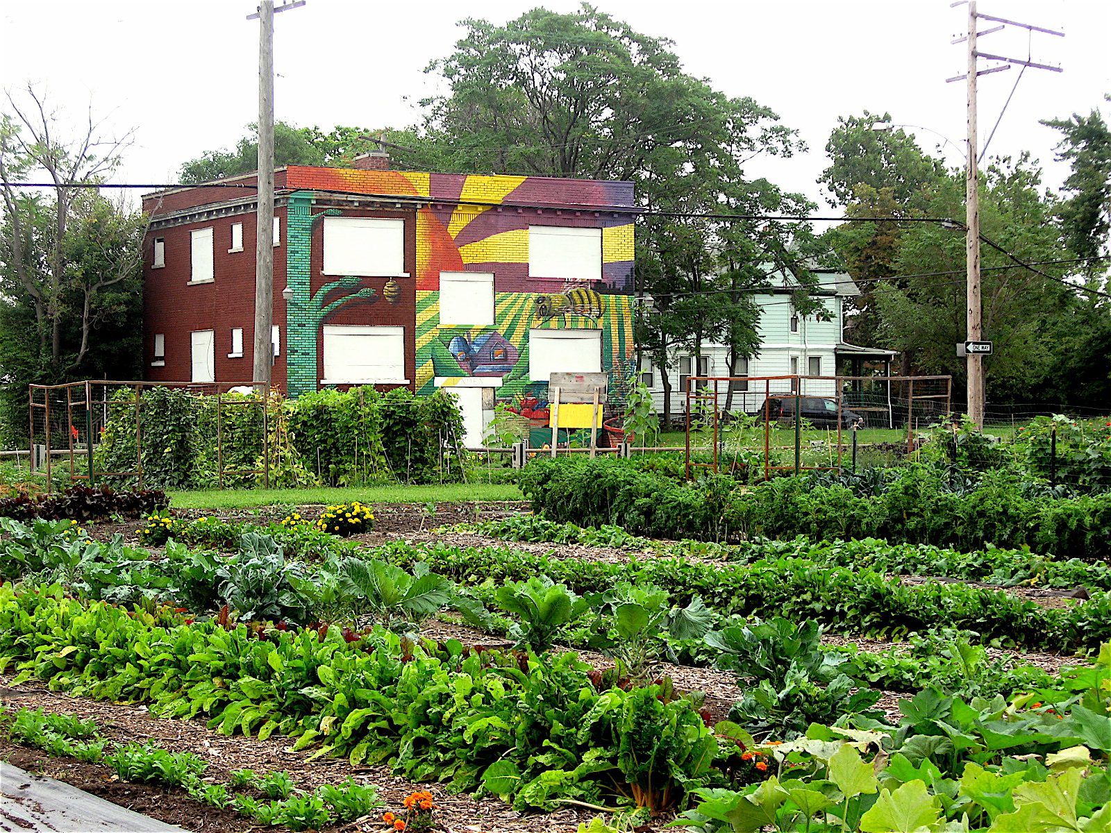 This Area in Detroit is now America’s First 100% Organic, Self-Sustainable Neighborhood