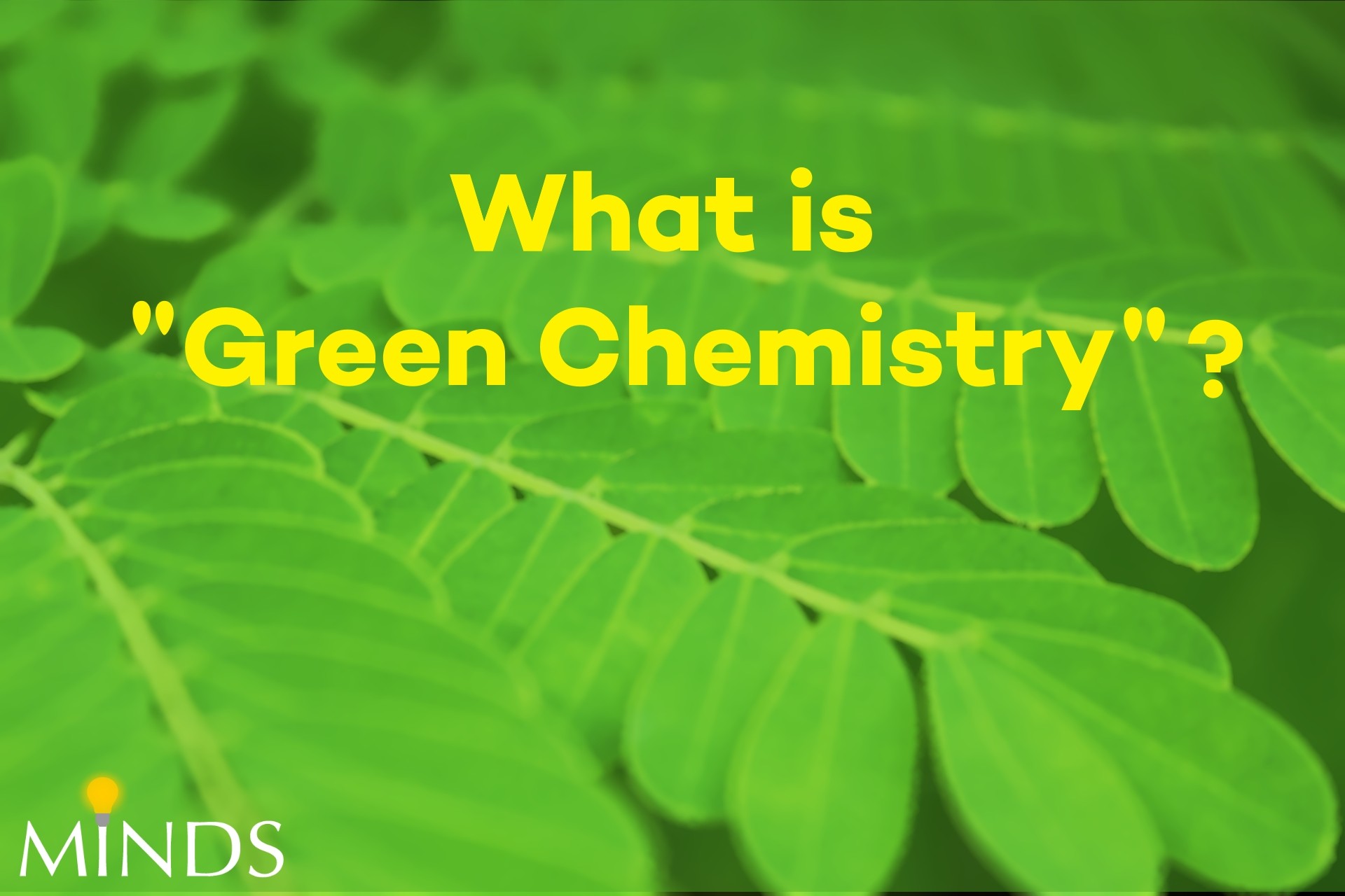 Green Chemistry – Moving Toward a Sustainable Future