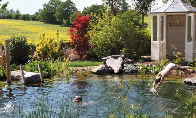 The Beauty and Benefit of Natural Swimming Pools