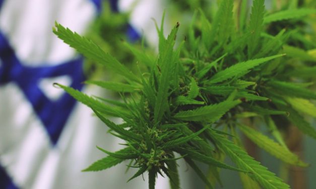 Israel Just Approved Near Legal Weed