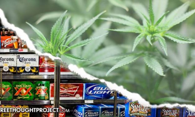 Alcohol Industry Frantically Lobbies Against Legal Weed as Beer Sales Predict $2 Billion Drop