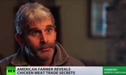 Farmer Reveals: These 3 Claims on Chicken Labels are Basically Meaningless