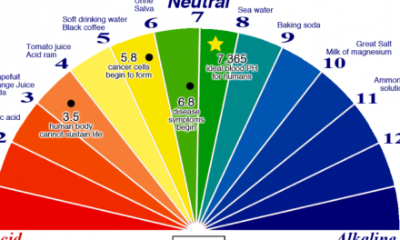 Every Person with Cancer has a pH that is too Acidic. Here’s the Easiest Way to Check your pH Balance.