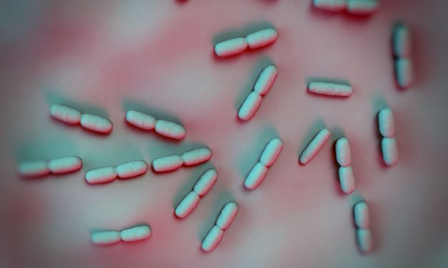 ALERT: 20,000 lbs of Frozen Pizza Recalled over Listeria Fears