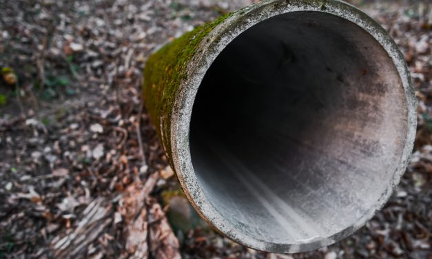 Sewage Spill in Tijuana, Mexico, Flows North of the Border
