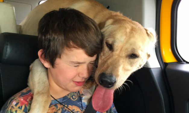 Victory! M44 Cyanide Bombs Banned in Idaho Thanks in Part To You! (and RIP Little Casey)