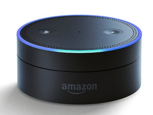 Woman asks Alexa “ARE YOU CONNECTED TO THE CIA?” Alexa— who Supposedly can’t Lie— REFUSES TO ANSWER