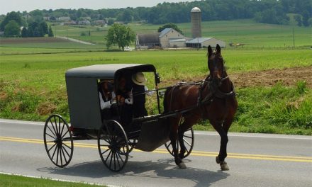 Amish Grandpa Farmer Found Guilty On ALL Counts Involving His Homemade Salves – Faces Up to 48 Years in Prison