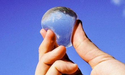 Scientists Created Edible Water Orbs to Replace Plastic Bottles