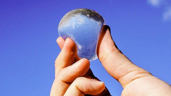 Scientists Created Edible Water Orbs to Replace Plastic Bottles