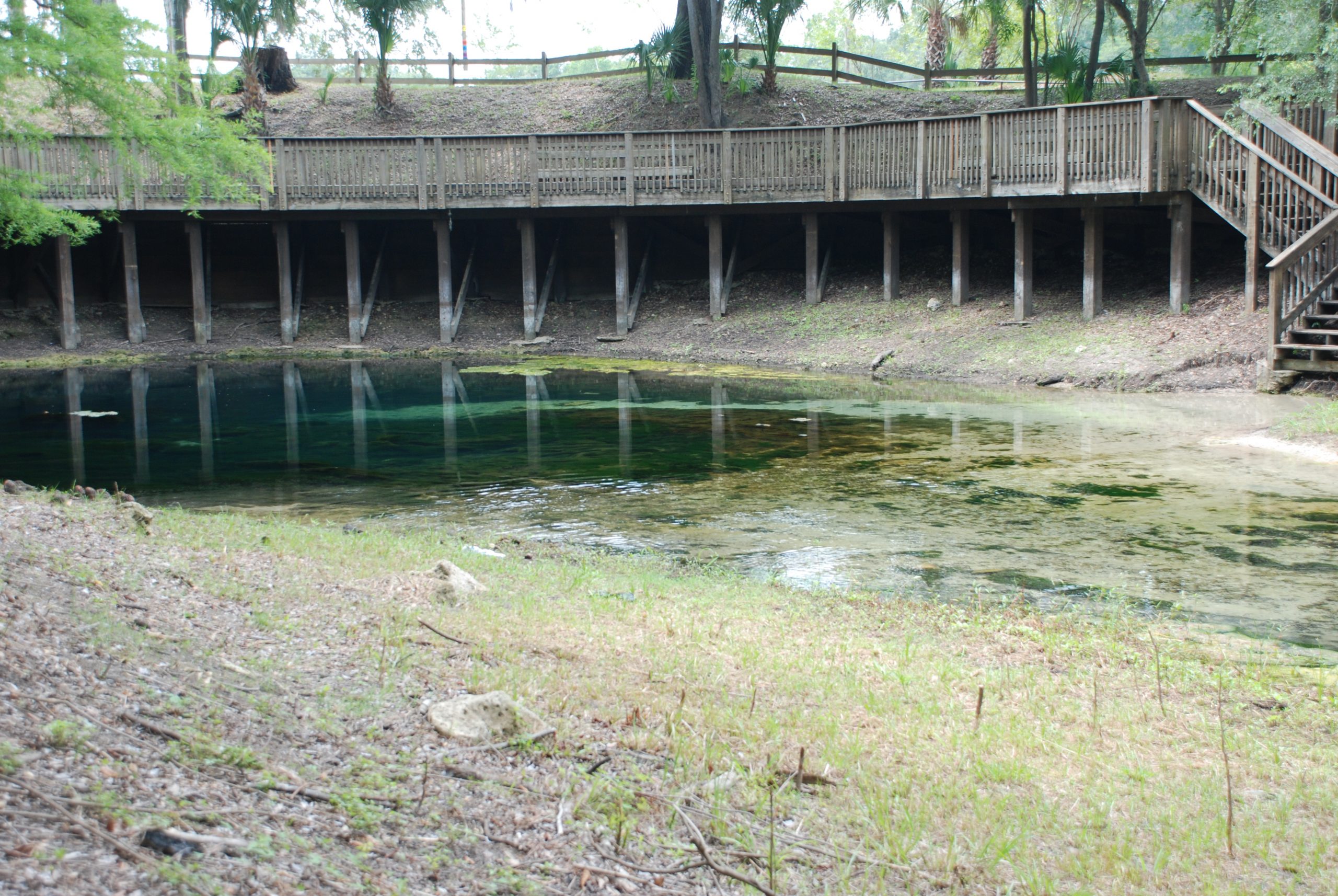 Human Waste Dumped Near Florida Springs