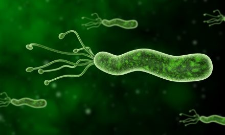 2 H. Pylori Treatments to Lower Your Risk of Ulcers and Cancer