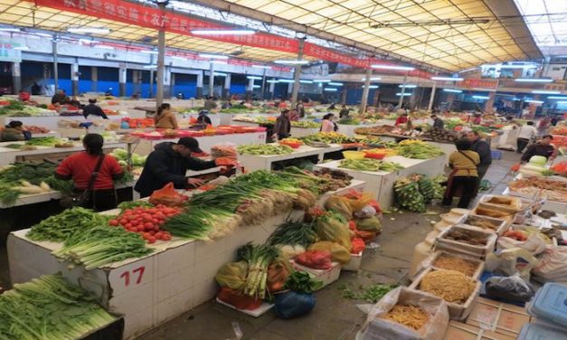 “Organic” Food From China Found To Be Highly Contaminated