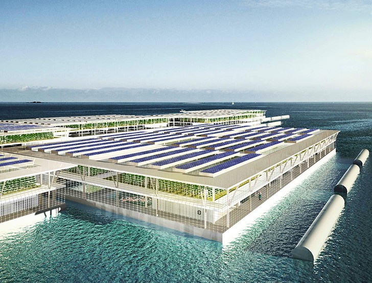 Solar powered floating farm can produce 20 tons of vegetables every day