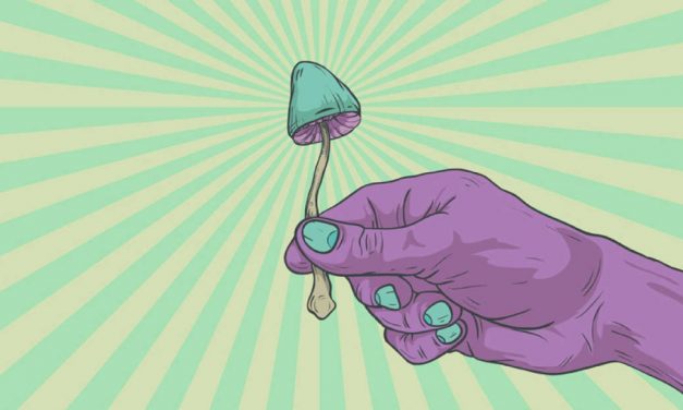 Largest Study ever shows the Consistent Value of Psychedelics as a way to Break Addiction