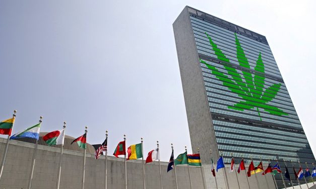World leaders aggressively call to legalize all drugs and end the failed drug war
