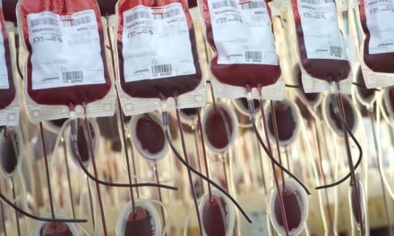 Scientists At Harvard Find Protein In Blood That Reverses Aging