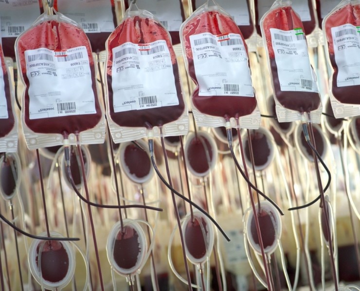 Scientists At Harvard Find Protein In Blood That Reverses Aging