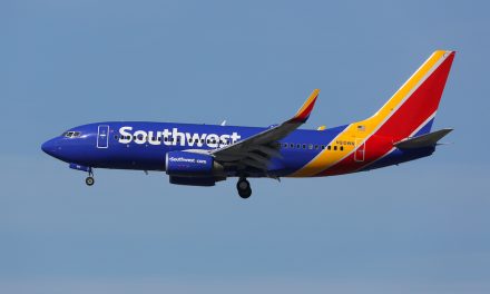 Southwest, the Airline that Deserves our Attention for Doing Everything in its Power to Help a Mother in Need