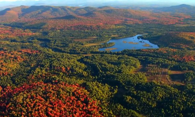 China’s richest man buys 28k acres of US wilderness to preserve it