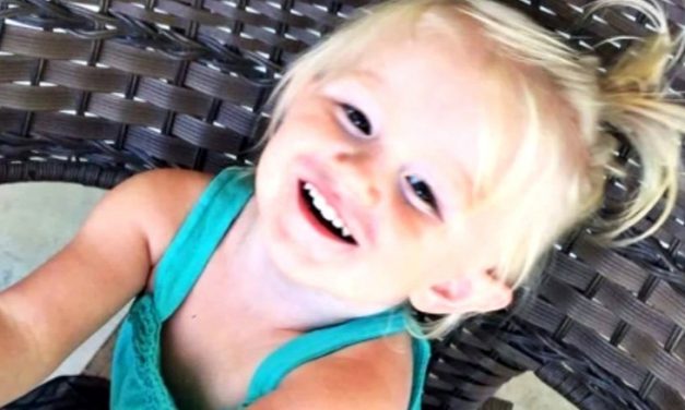 2-year-old dies after suspected tick bite