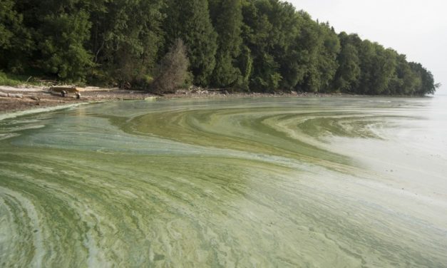 Alarms raised about herbicide runoff as planting season approached