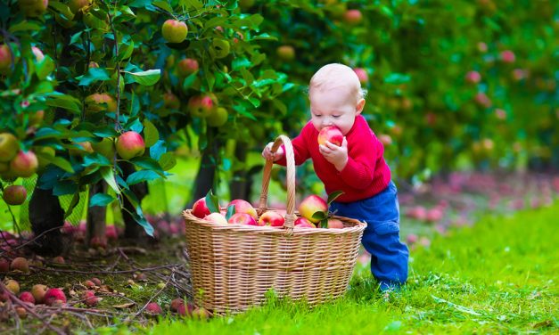 Most U.S. apples coated with chemical banned in Europe