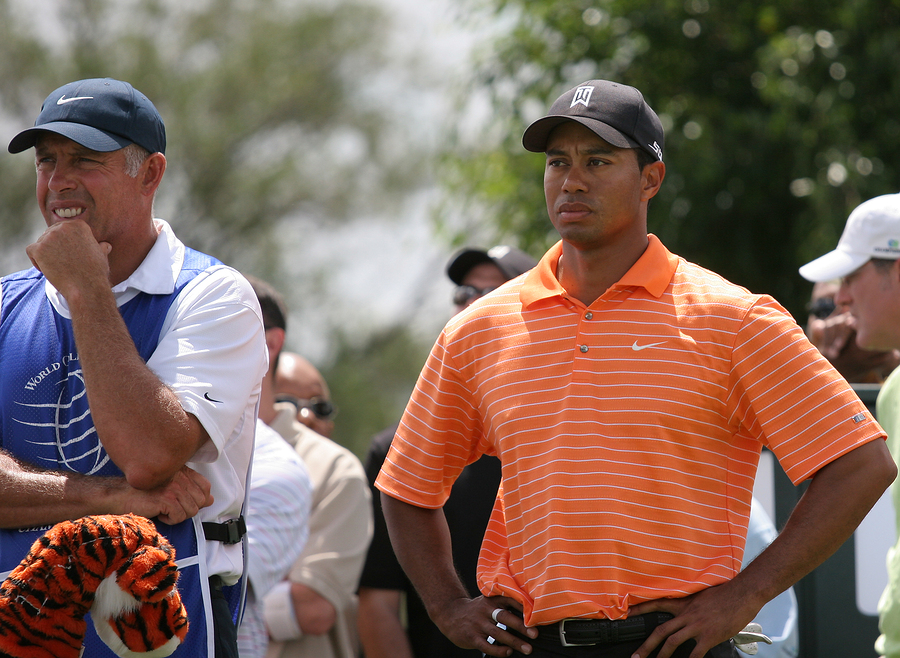 Tiger Woods lists Merck’s banned Vioxx among prescription drugs after DUI