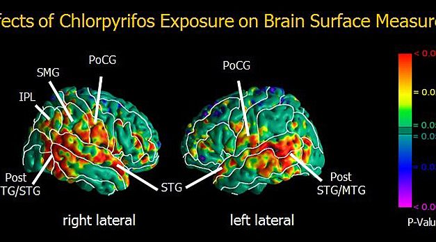 EPA decision to not ban pesticide raises flags
