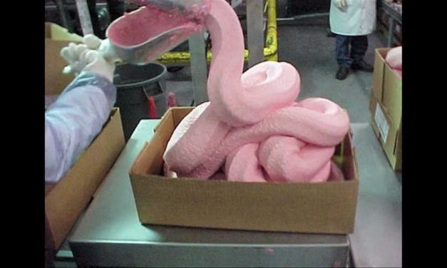 ABC settles suit over what it had called ‘pink slime’