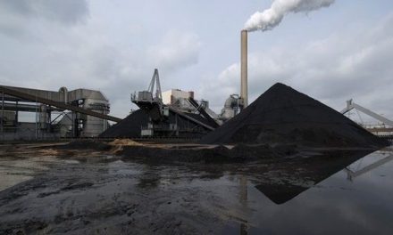 Dutch parliament votes to close down country’s coal power plants