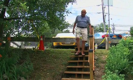Man builds park stairs for $550 after city gives $65,000 estimate!
