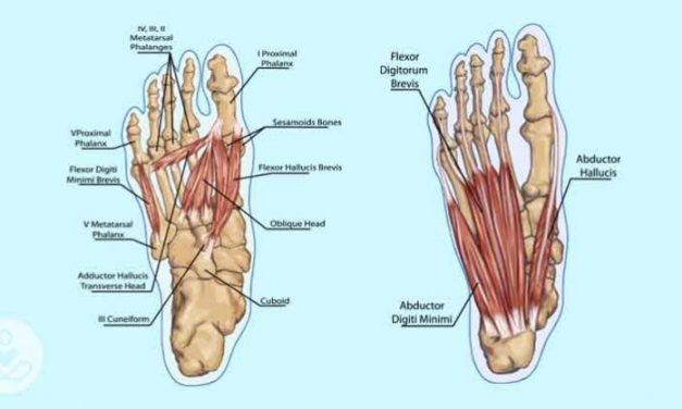 These 5 foot exercises can relieve uncomfortable back, hip and knee pain in minutes