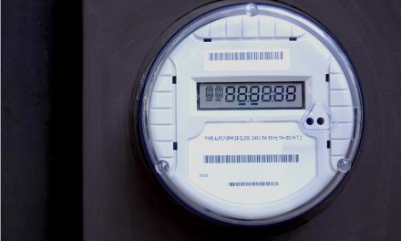 Smart Meters: Countdown to a National Crisis of Illness and Death
