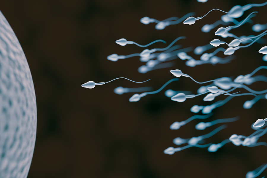 Serious drop in Western sperm count ‘could make humans extinct’