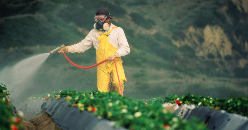 How to remove pesticides from your produce