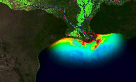 Report says meat industry to blame for largest-ever ‘dead zone’ in Gulf of Mexico