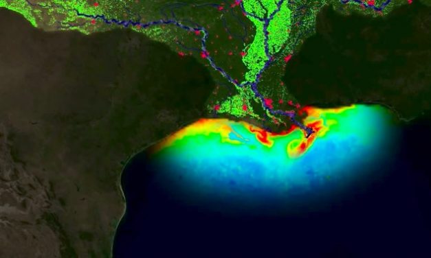 Report says meat industry to blame for largest-ever ‘dead zone’ in Gulf of Mexico