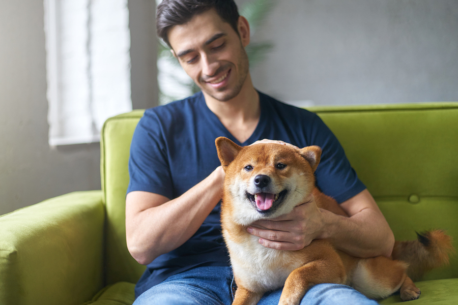 Humans are using CBD on their pets when there’s nowhere else to turn