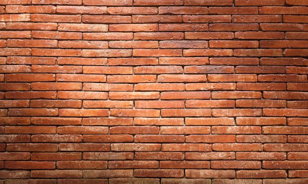 Say goodbye to concrete, we can build bricks out of bacteria and sand at a fraction of the cost