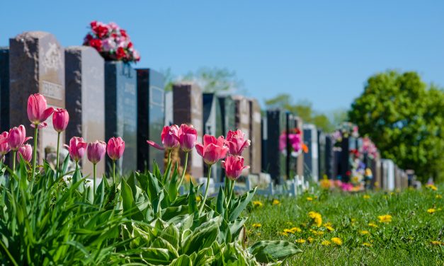 MSN: Corporations save billions as Americans die younger