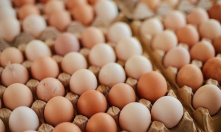 700,000 eggs distributed in the UK contaminated with Fipronil pesticide