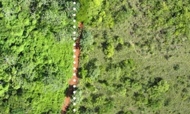 A juice company dumped orange peels in a National Park. Here’s what it looks like now.