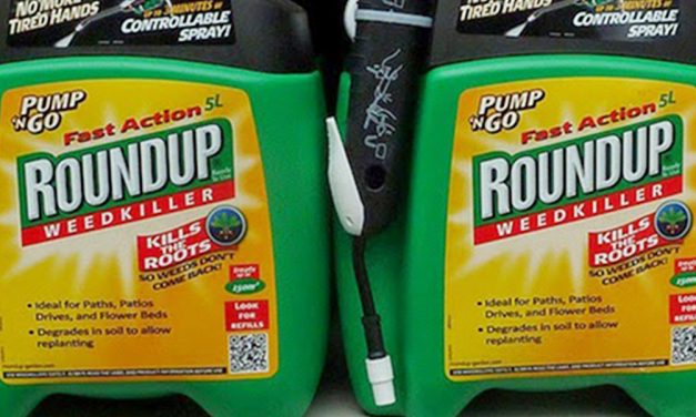 Landmark lawsuit claims Monsanto hid cancer danger of weedkiller for decades